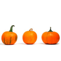 遊戯王の通販はカードのセット販売がされている